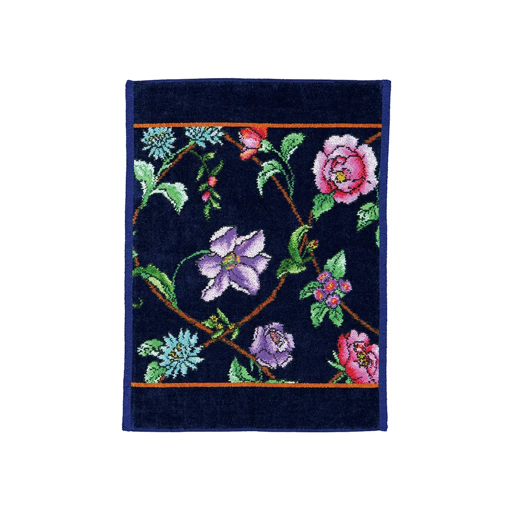 【feiler】阿羅薩毛巾(37x50)