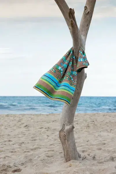 【feiler】變色龍毛巾(37x50)