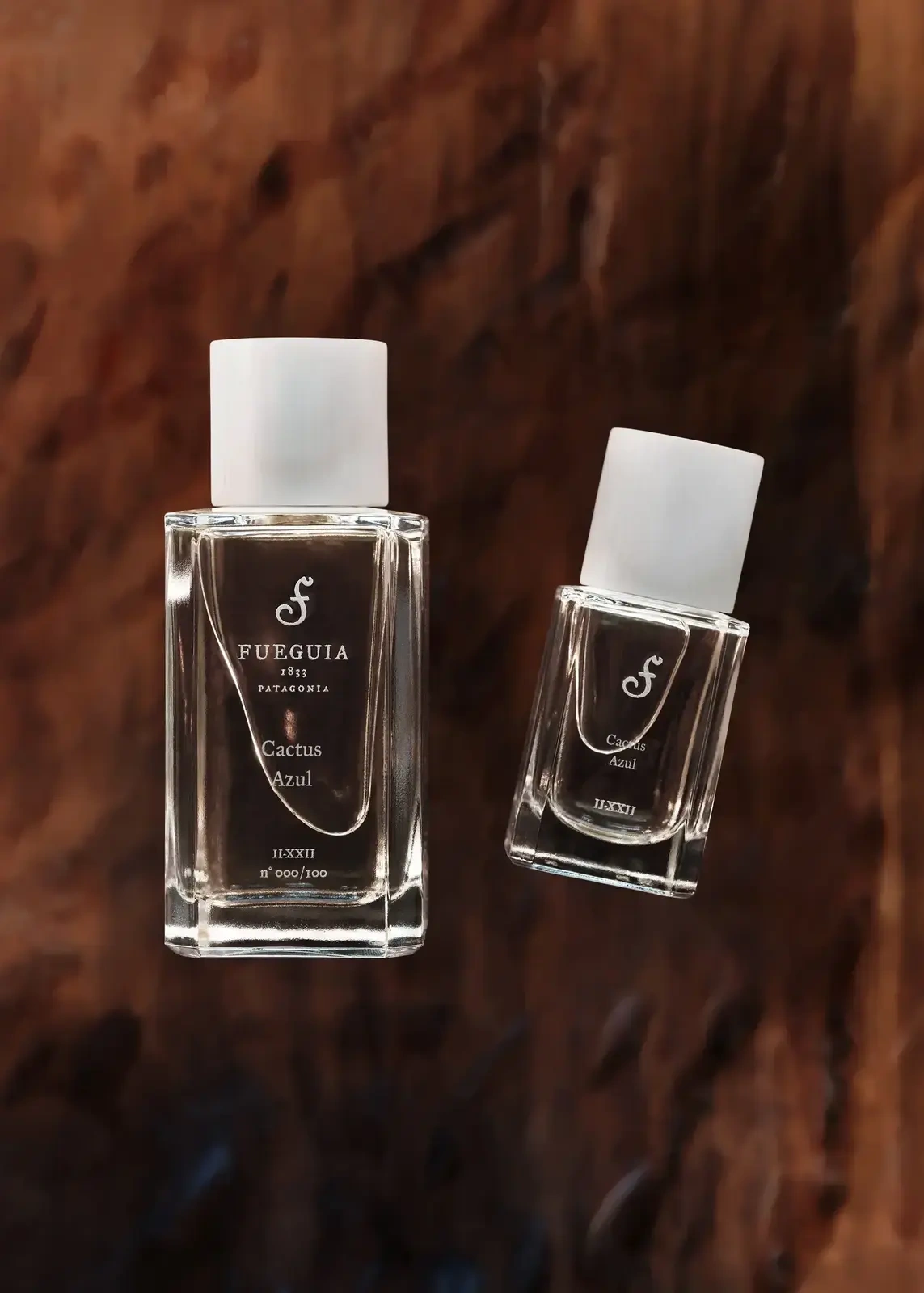 Cactus Azul 香精- 50ml | THE SPAACE WOMEN