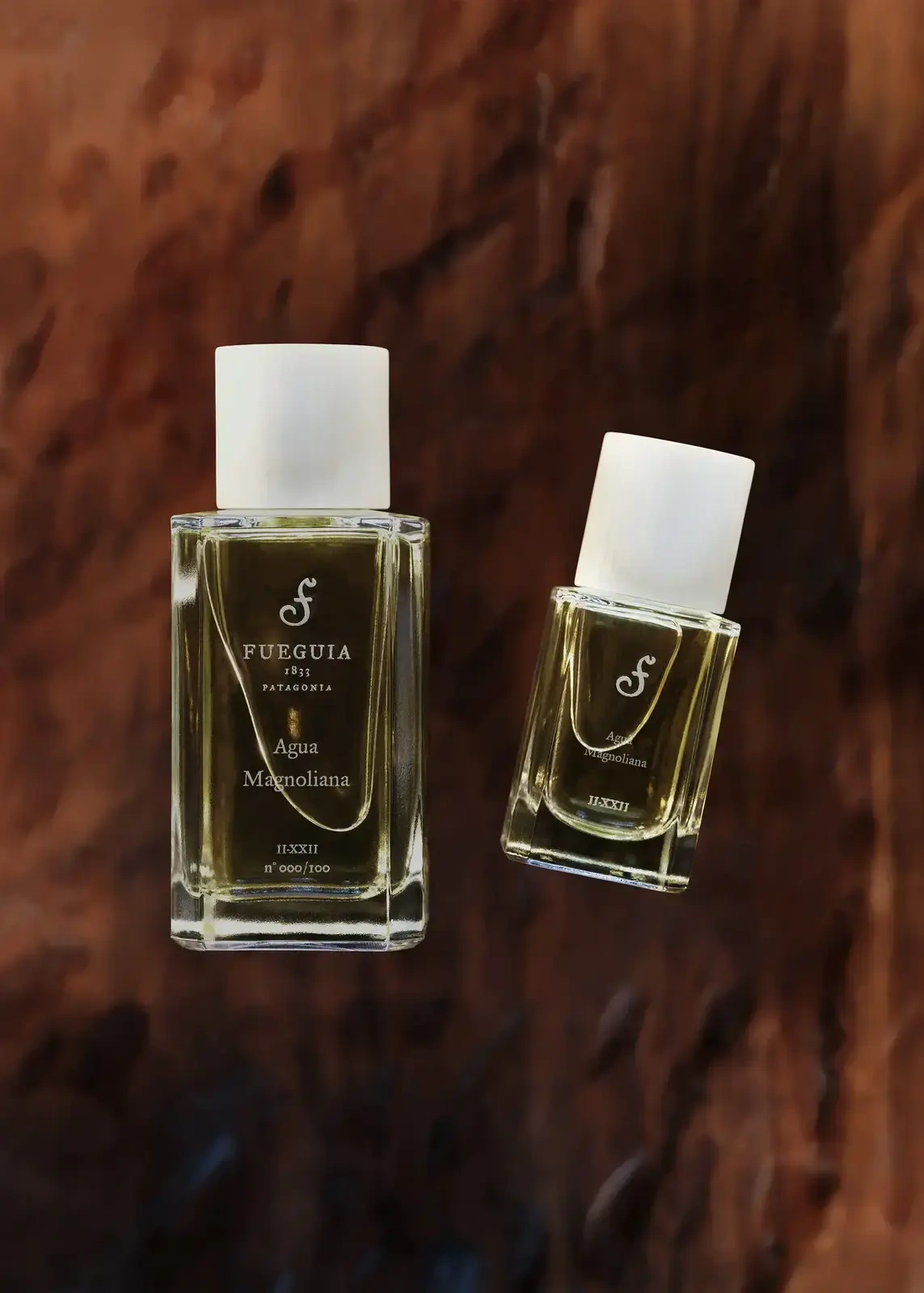 Darwin 香精- 30ml | THE SPAACE WOMEN
