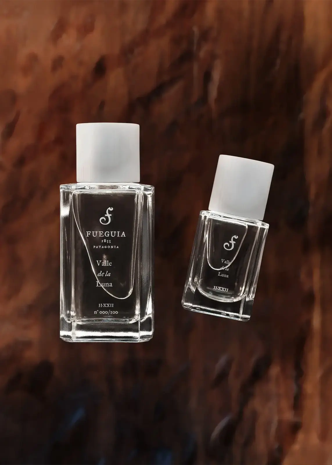 Darwin 香精- 30ml | THE SPAACE WOMEN