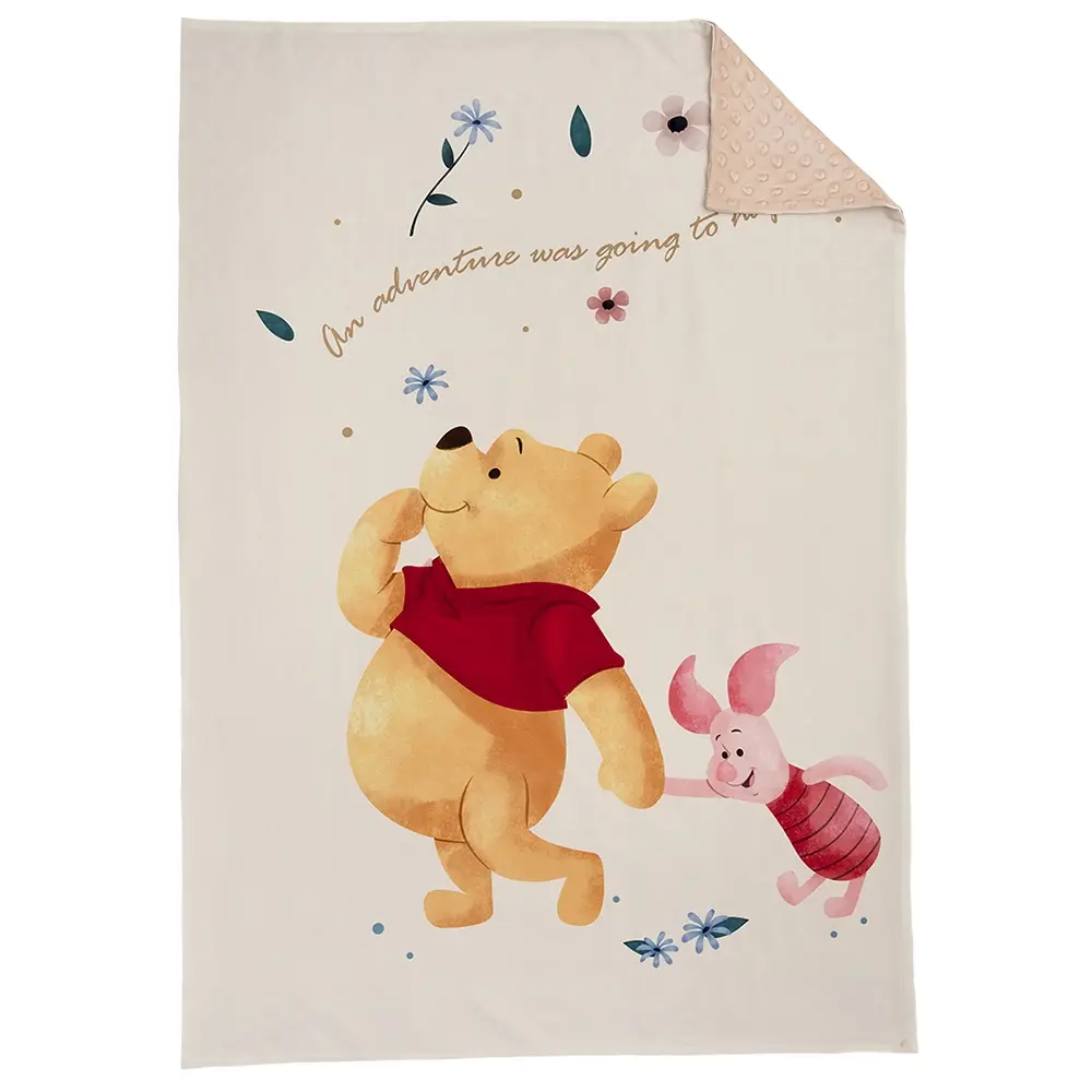 【Baby City娃娃城】維尼小豬舒棉四季毯
