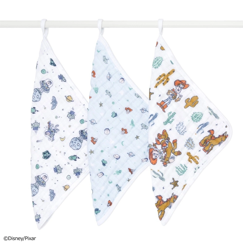 【Aden & Anais】經典方巾3入/玩具總動員