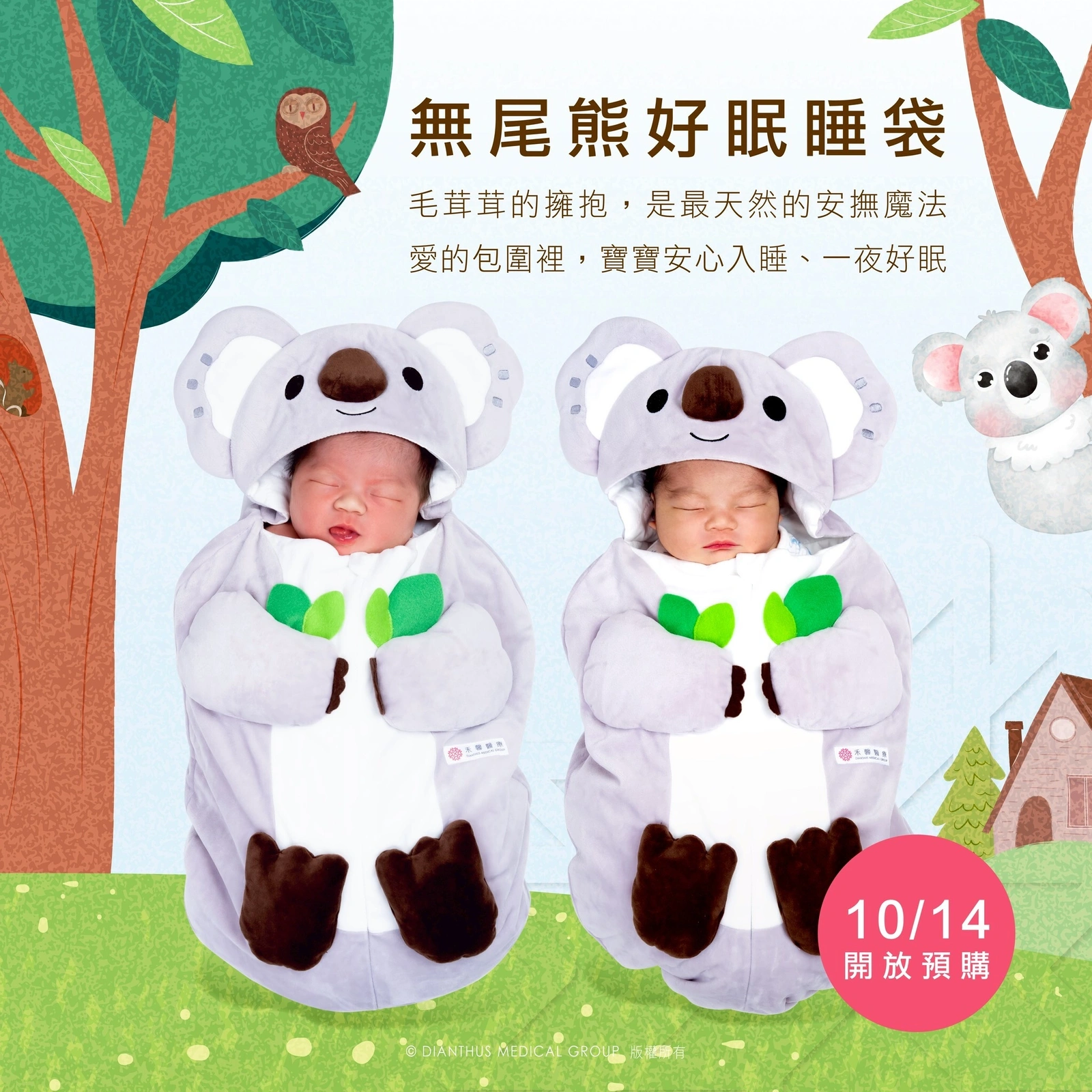 【禾馨嚴選】無尾熊好眠睡袋
