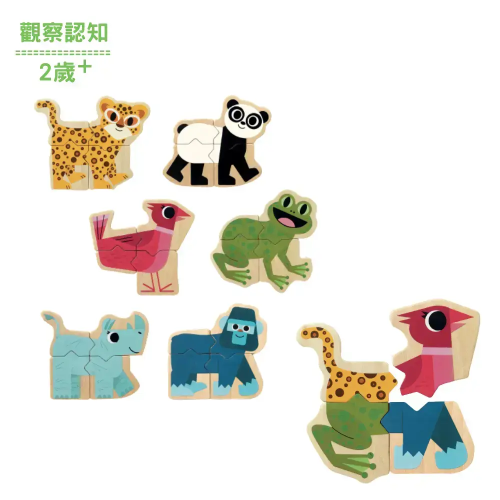 【DJECO智荷】叢林世界