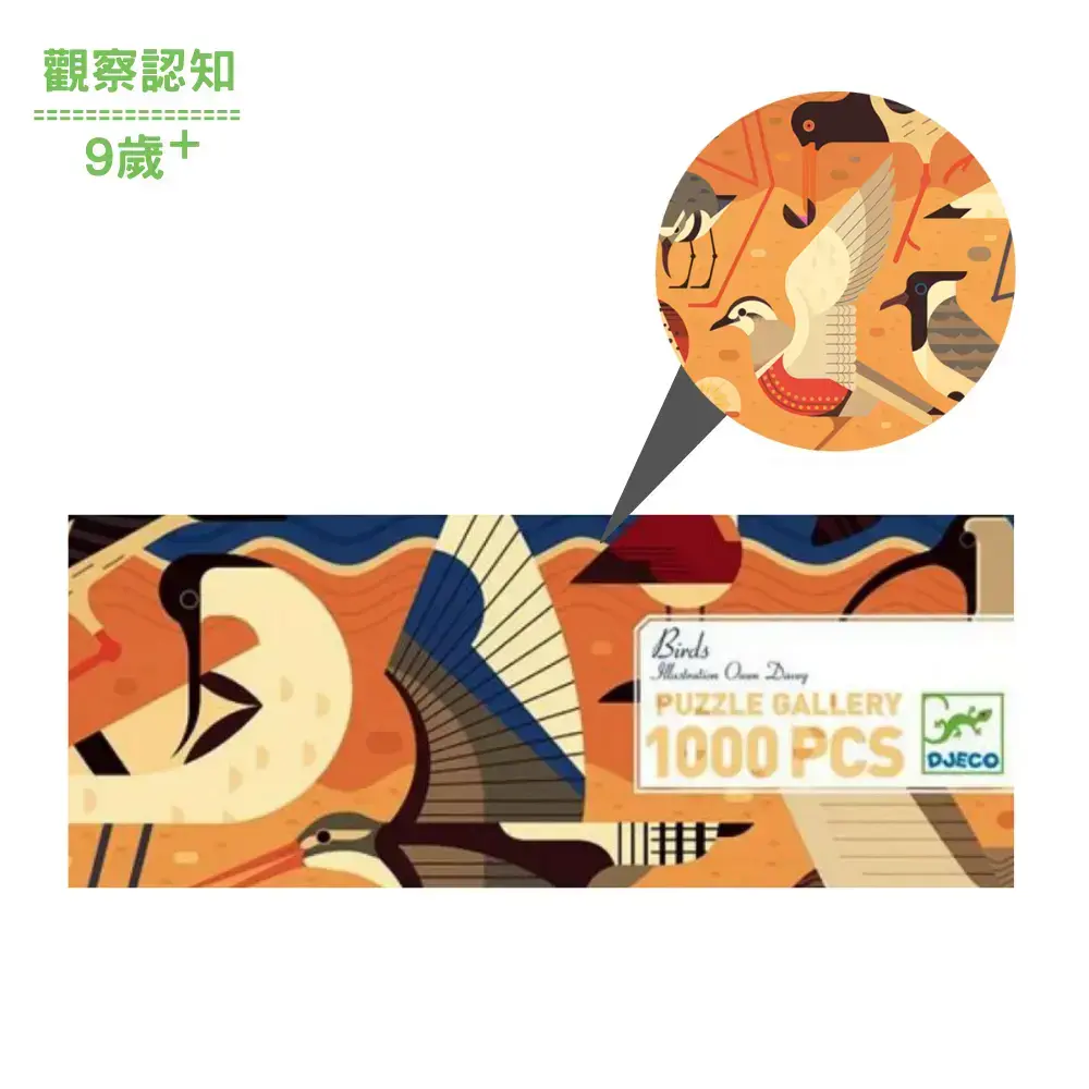 【DJECO智荷】沙灘上的鳥群