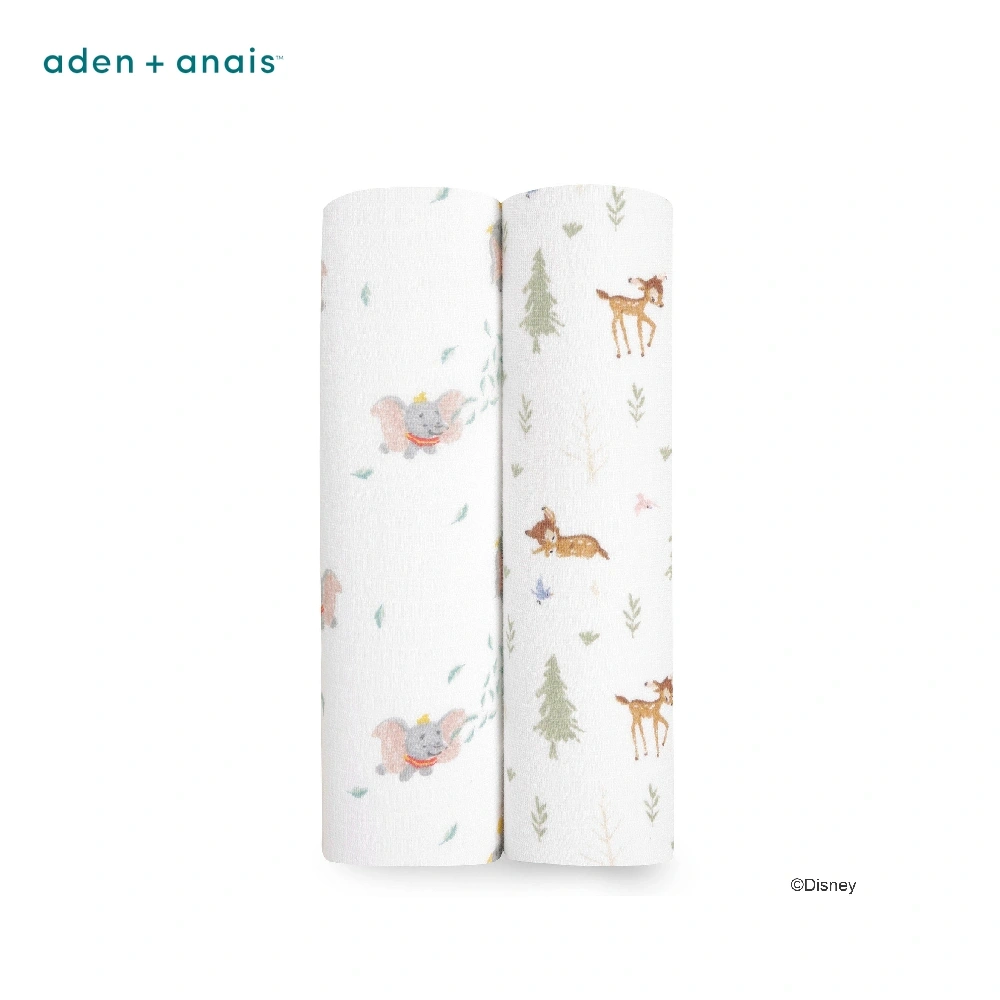 【Aden & Anais】  經典多功能包巾2入/迪士尼夥伴