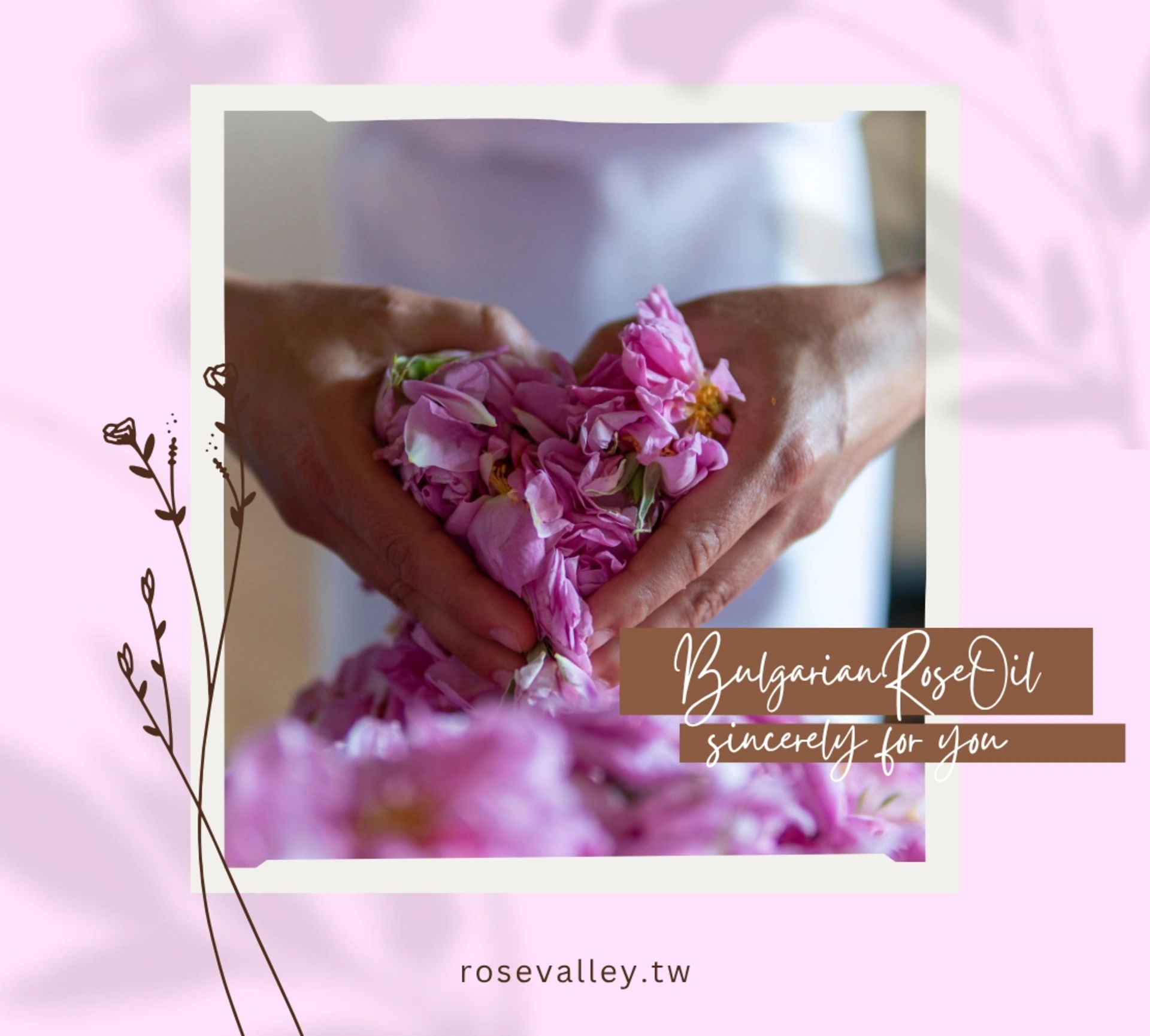 保加利亞玫瑰精油