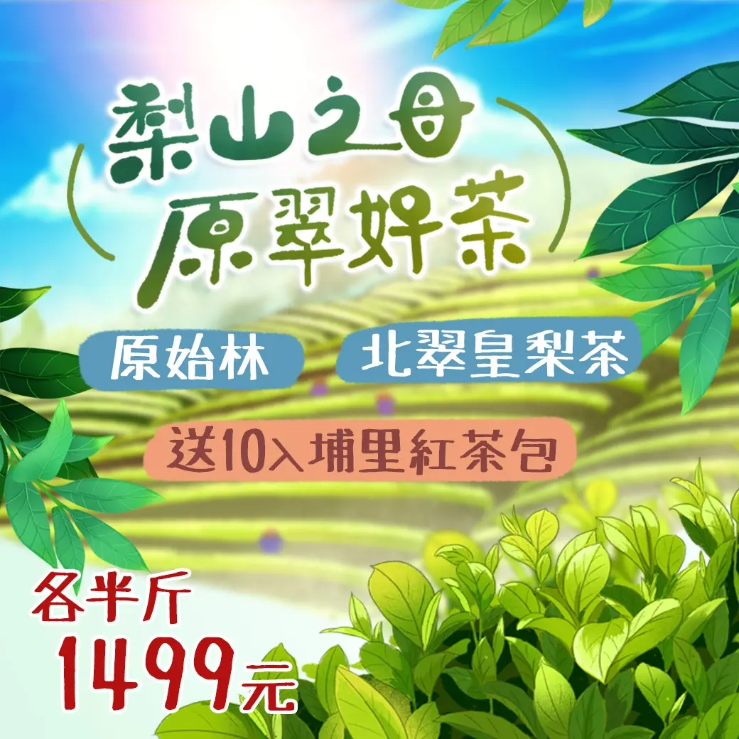 台湾 2022年梨山翠峰高山茶 75g 【ラッピング不可】 75g